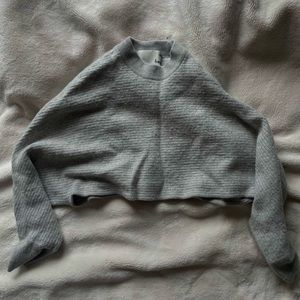 Wilfred Free Crop Sweater